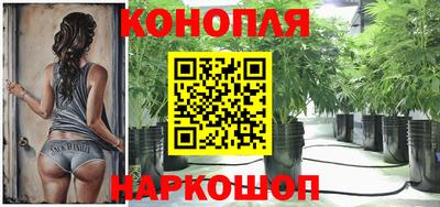 эйфоретик Кимры
