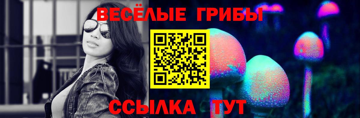 Псилоцибиновые грибы MAGIC MUSHROOMS Кудрово